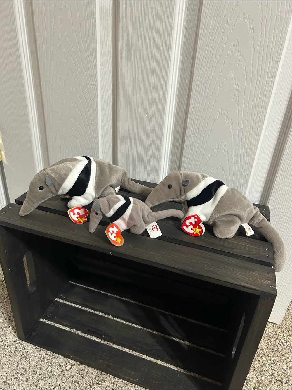 Bundle of 3 TY Beanie Babies Ants & Antsy the Anteater NWT